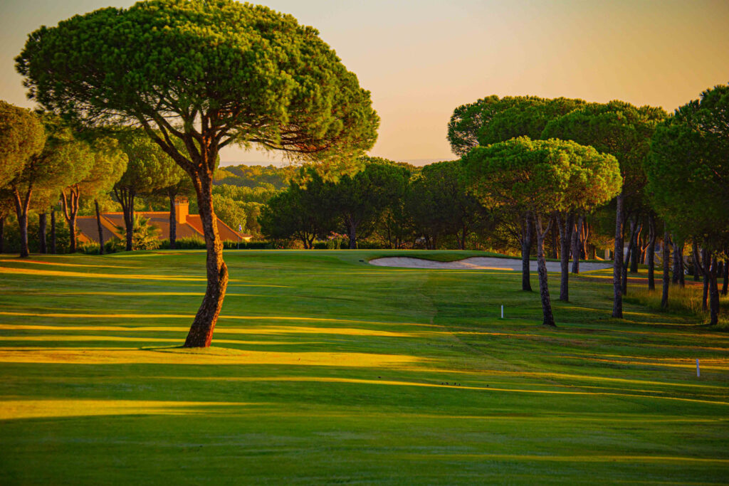 view of a golf course with trees on the side