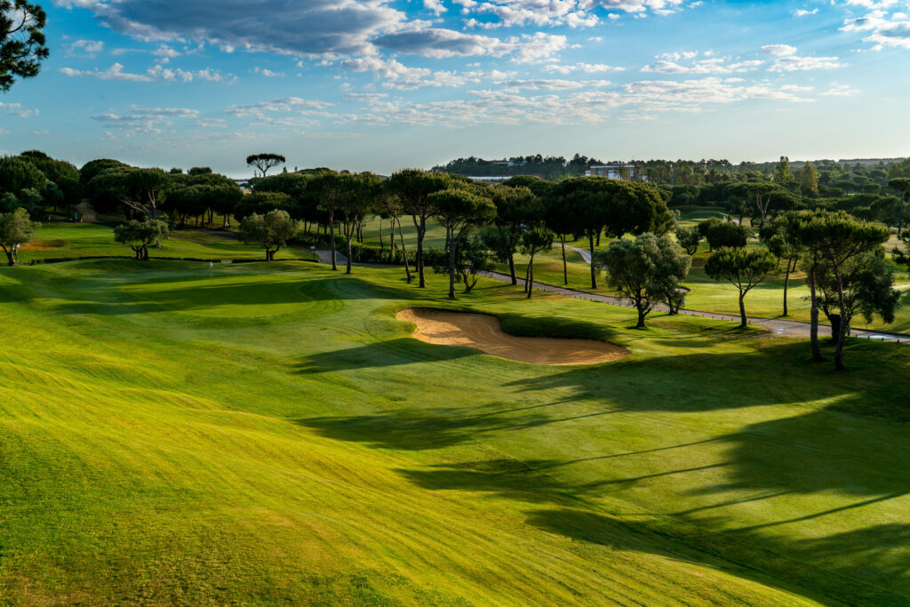 Golf course and trees