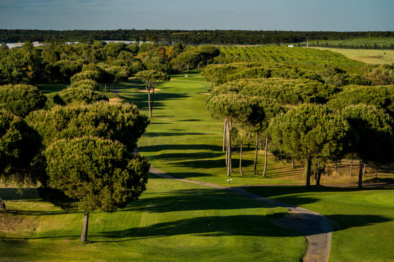 El rompido tree lines fairway