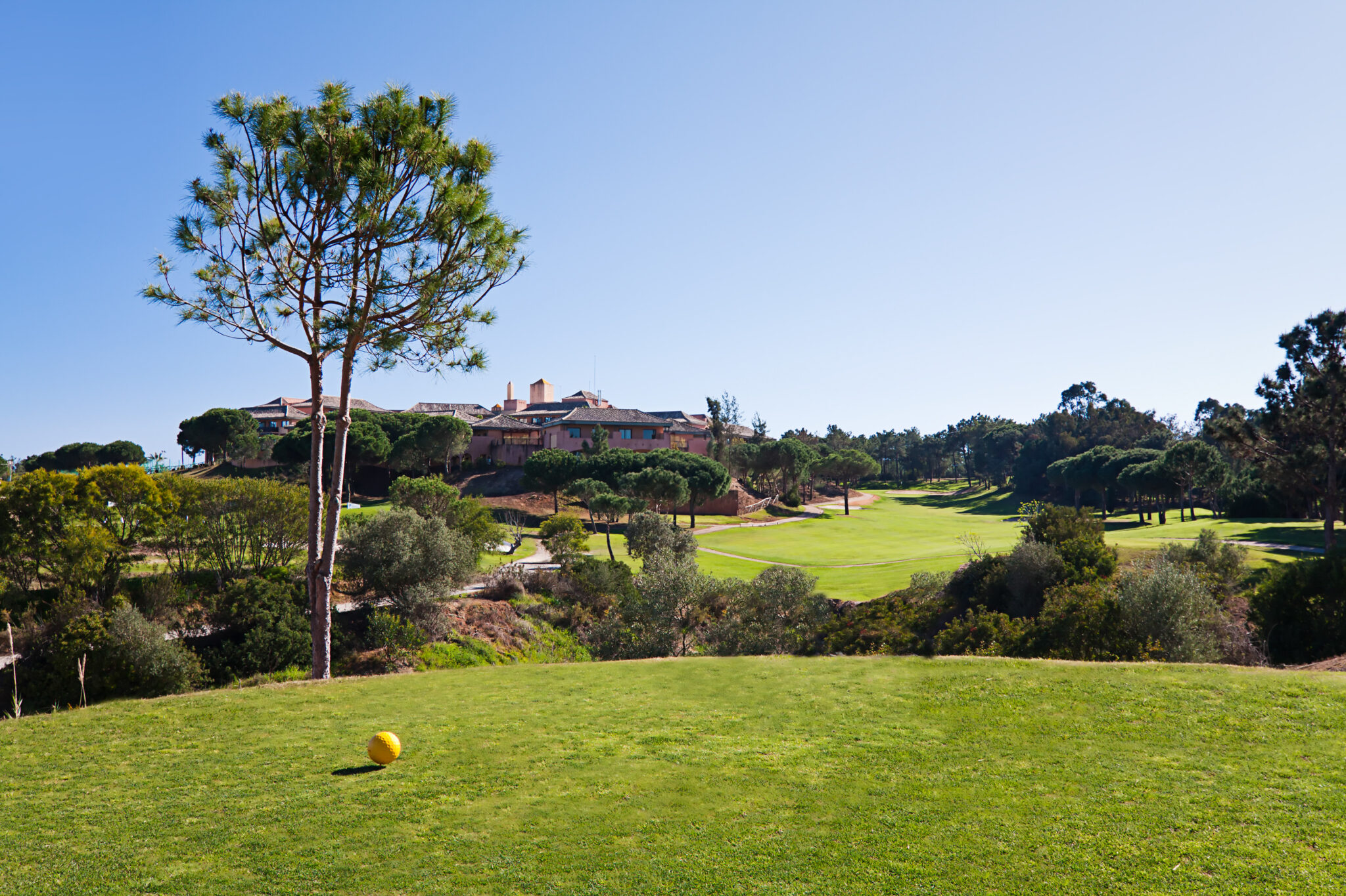 Ball on tee looking down fairway