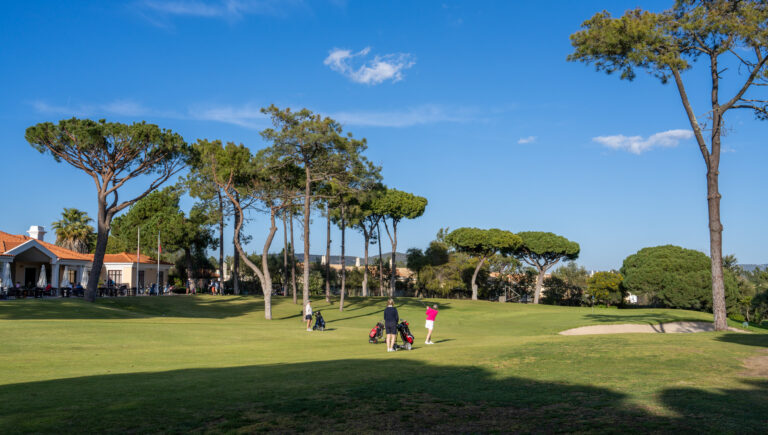 golf course trees to left