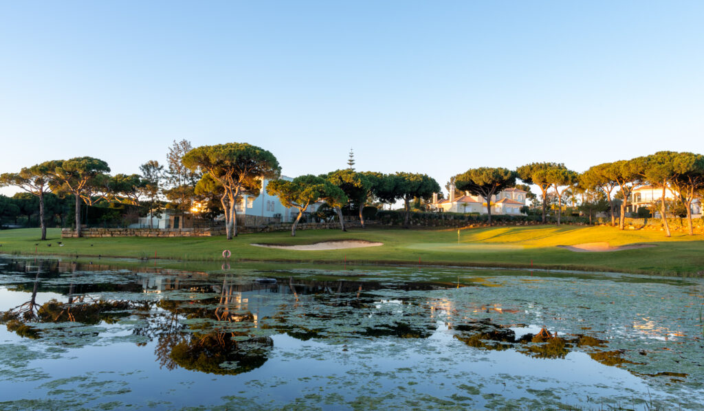 view of trees over water